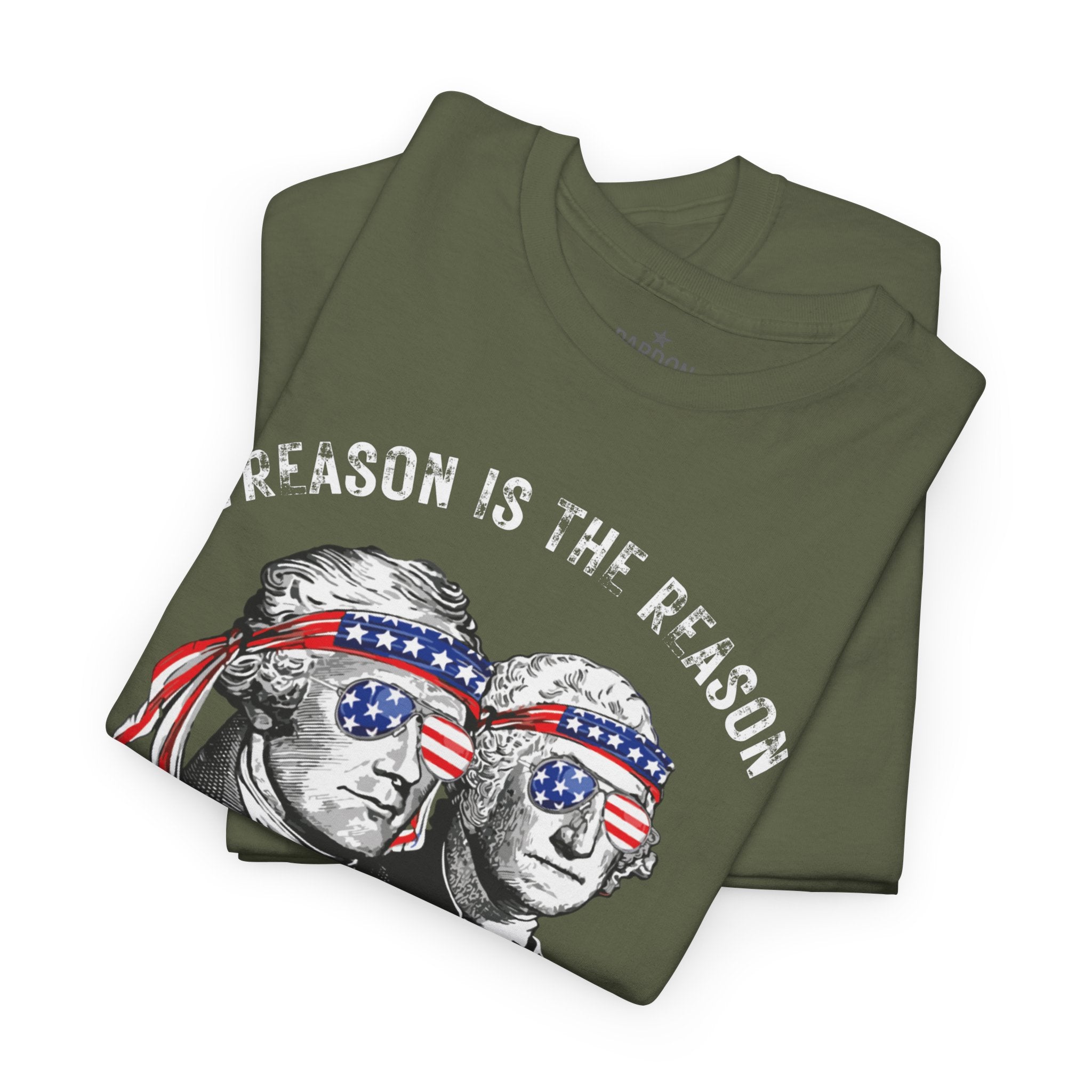 Treason Is the Reason T-Shirt | Patriotic Freedom I say favorite F-word shirt | American Defiance Graphic Tee