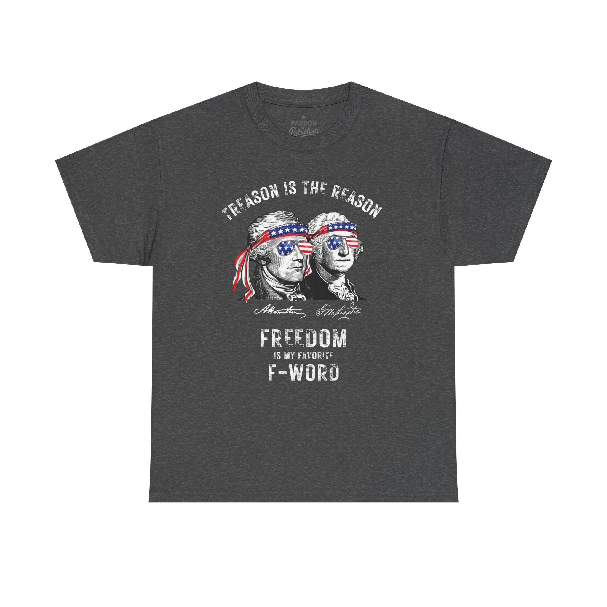 Treason Is the Reason T-Shirt | Patriotic Freedom I say favorite F-word shirt | American Defiance Graphic Tee